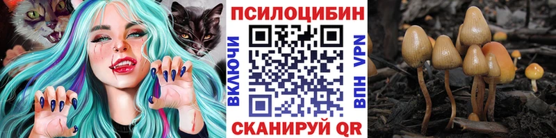 цена   Зарайск  это наркотические препараты  Псилоцибиновые грибы ЛСД 